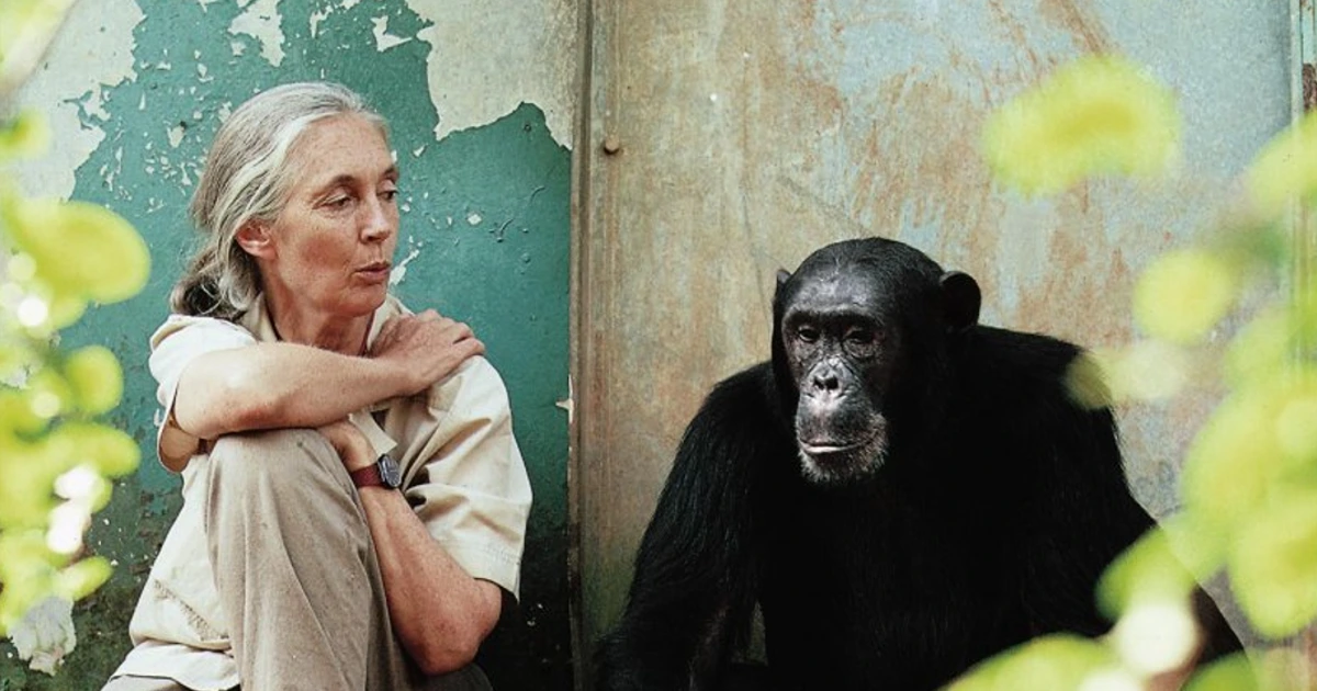 Jane Goodall god evolution