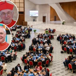 Synodality Under Scrutiny: Cardinals Raise Serious Questions synodality doubts