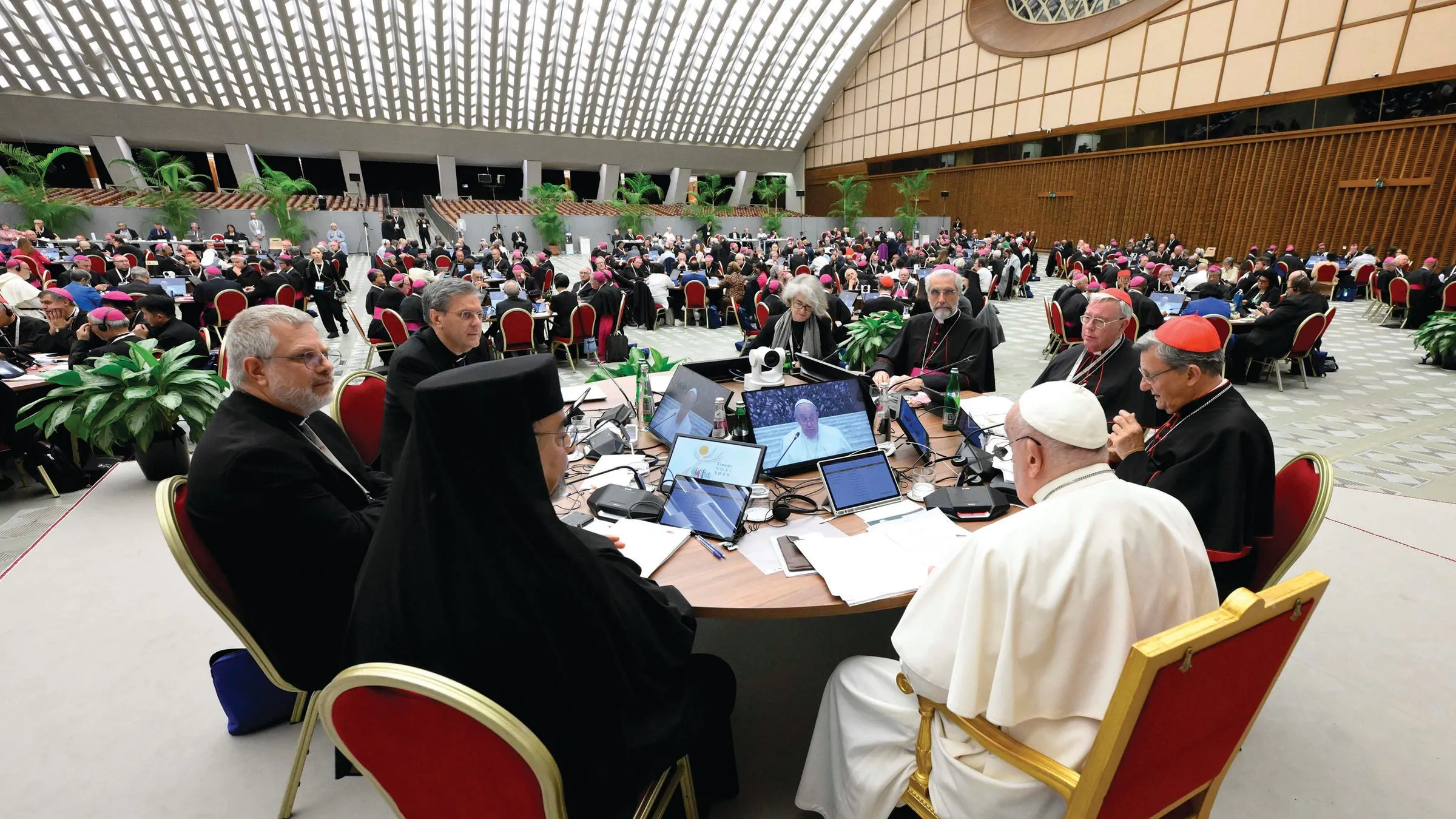 synodality doubts