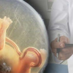 Embrione e feto sono persone umane, ecco cosa dice la scienza
