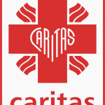 Ecco cosa ha fatto la Caritas Italiana nel 2009