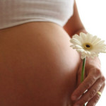 La gravidanza protegge la donna dal cancro al seno