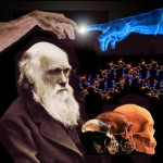 New York University: «la teoria di Darwin non è più sostenuta dalla geologia»