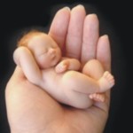 «L’embrione umano non è distruttibile», l’UE riconosce la vita dal concepimento?