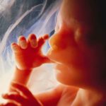 North Dakota: limite di aborto abbassato alla sesta settimana
