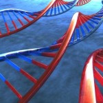 Sette scienziati contro il riduzionismo: «l’uomo è ben oltre i suoi geni»