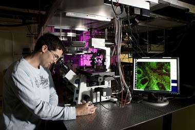 Guardare al microscopio