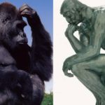 L’ontologica differenza tra l’uomo e l’animale, ne parla il filosofo Sergio Givone
