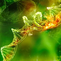 evoluzione selezione naturale e riproduzione finalismo