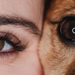 eccezionalità umana