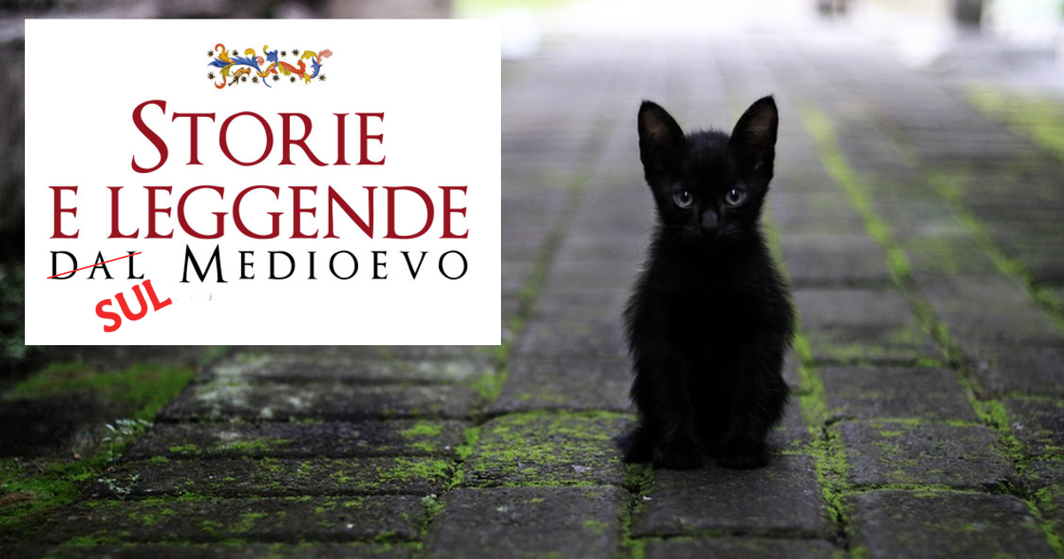 gatti medioevo mito