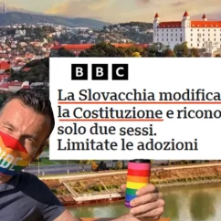 slovacchia costituzione zan