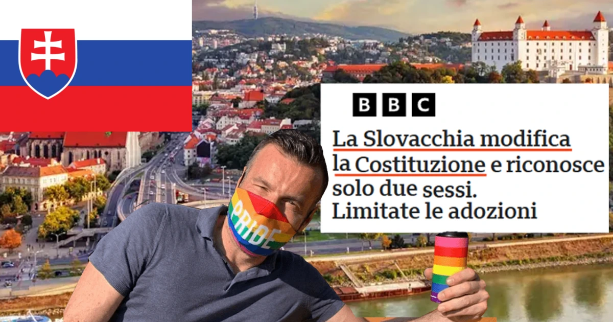 slovacchia costituzione zan