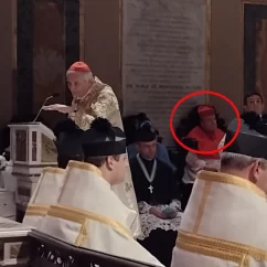 zuppi burke tradizionalisti