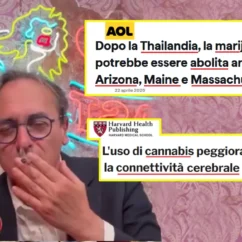 Il deputato Bonelli fuma cannabis e ignora il mondo reale angelo bonelli cannabis
