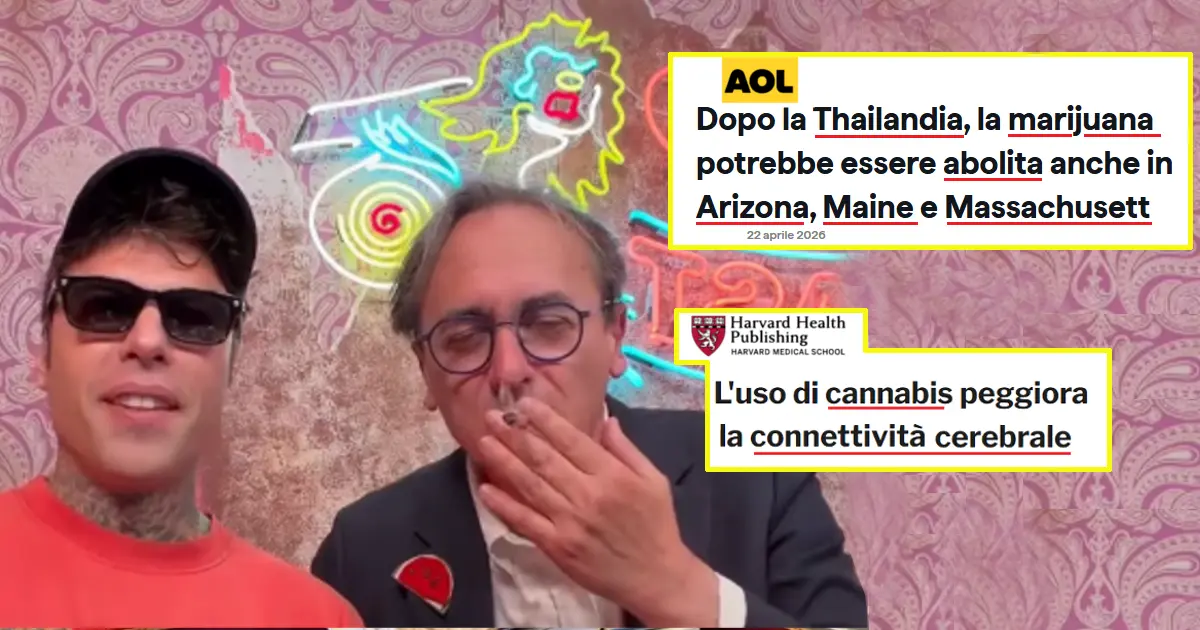 angelo bonelli cannabis