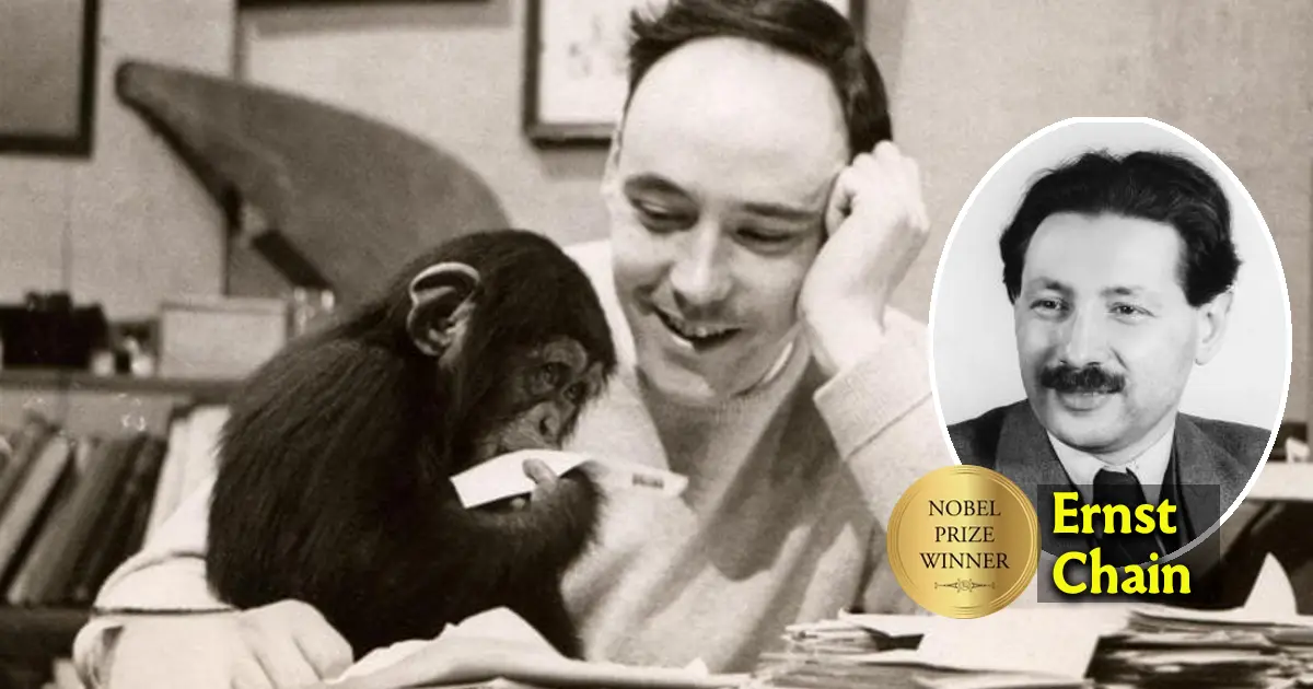 desmond morris scimmia