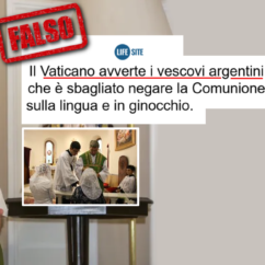 La comunione in ginocchio e le fake news tradizionaliste comunione ginocchio vaticano