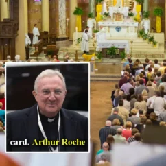 omelia laici vaticano