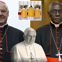 Gli amici di Ratzinger criticano «l'arroganza spirituale» della FSSPX ratzinger fsspx