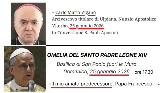 viganò leone xiv