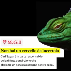 cervello rettiliano