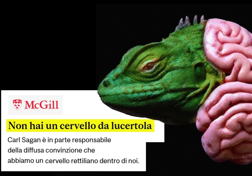 UCCR