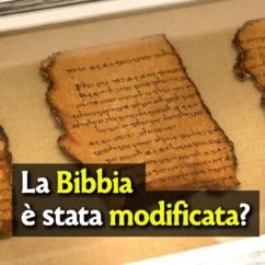 rotoli mar morto