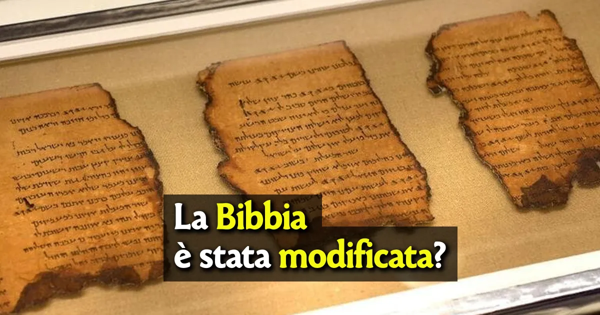 rotoli mar morto