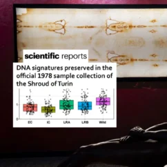 La Sindone e il nuovo studio: gli indizi scoperti grazie al DNA sindone DNA