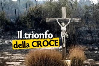 UCCR
