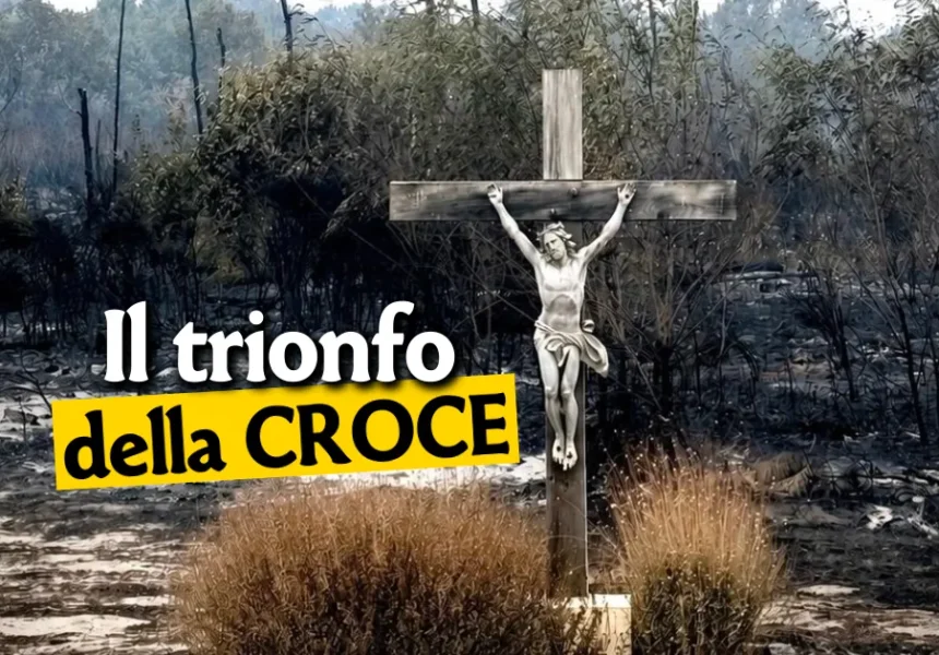 UCCR