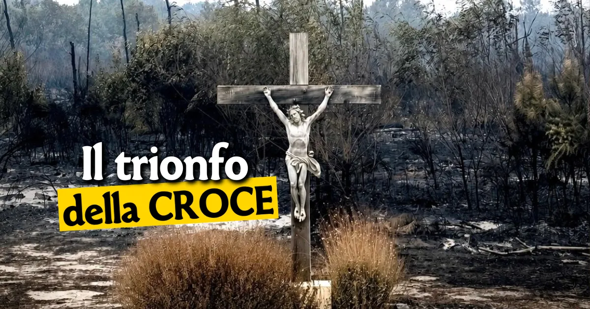 UCCR