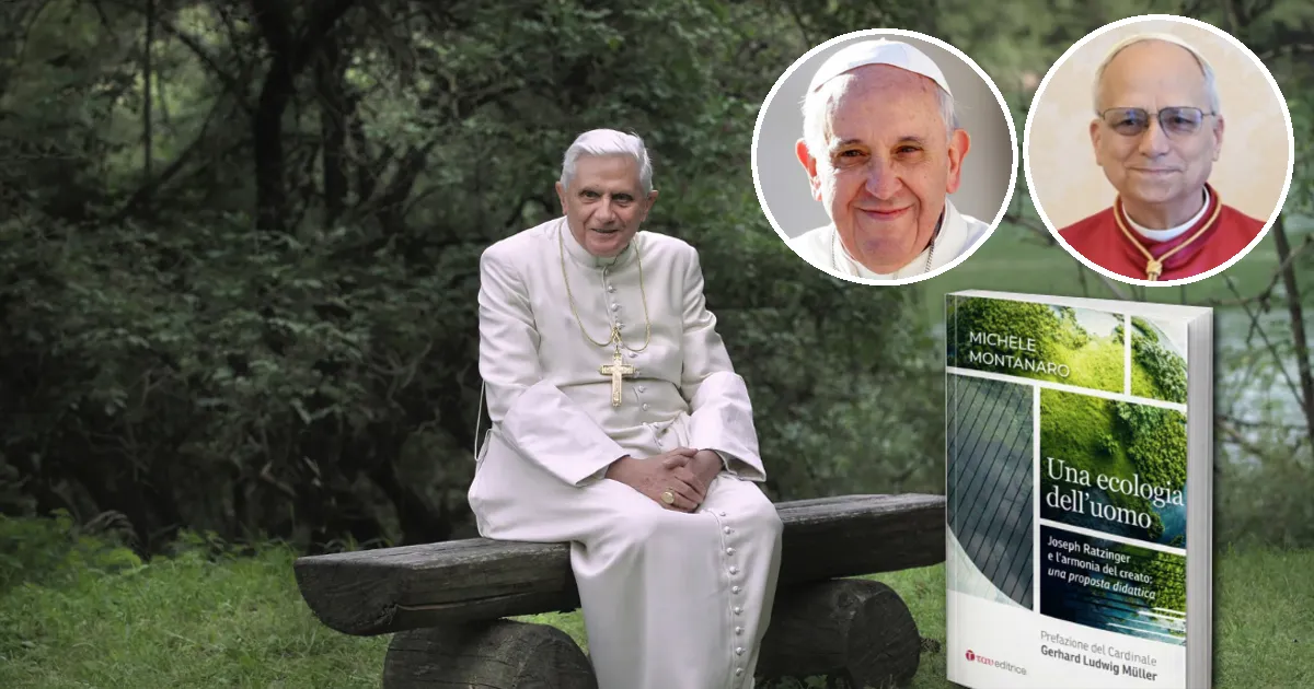 benedetto xvi ecologia