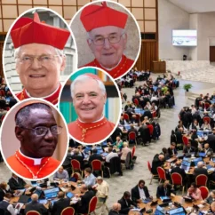 Una certa sinodalità che non convince: i dubbi di stimati cardinali sindalità dubbi